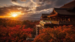 Best Autumn Leaves Spots in Kyoto