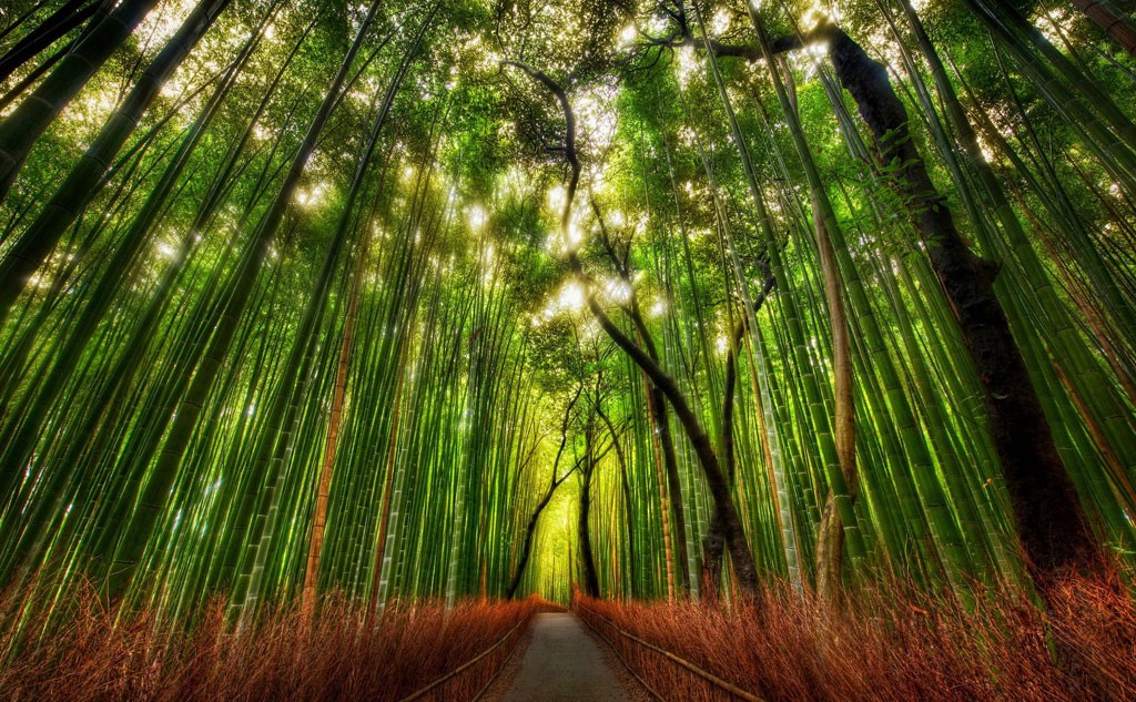 Kyoto Arashiyama and Sagano : 10 Best Things to Do in 2019