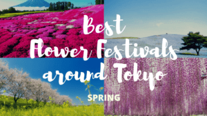 10 Must-Visit Flower Festivals around Tokyo Spring!