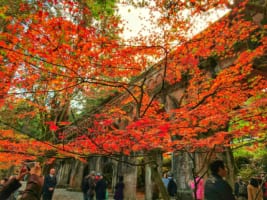 Nanzenji Temple: Photo-Worthy Temple Complex in Kyoto