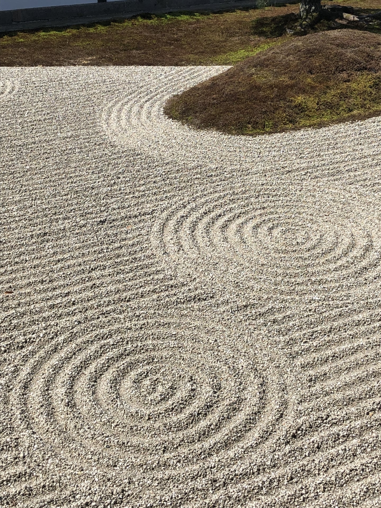 Tofuku-ji temple zen garden
