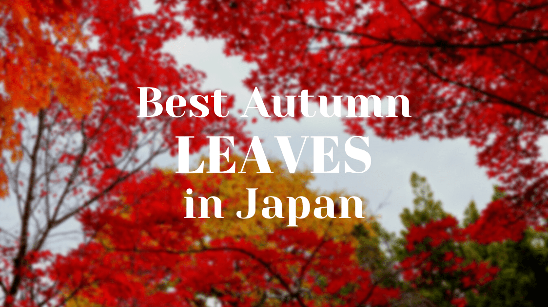 8 Best Autumn Leaves Events in Japan 2023